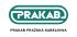 Vc ne trend: pro se i esk spolenosti piklnj kprincipm ESG